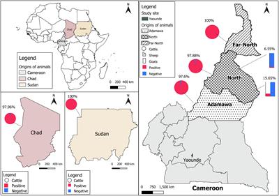 Molecular and serological evidence of Crimean-Congo hemorrhagic fever orthonairovirus prevalence in livestock and ticks in Cameroon